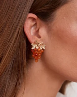 Polin et moi Pendientes Largos Racima